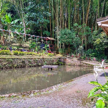 Finca Turistica Los Rosales Pereira Zewnętrze zdjęcie
