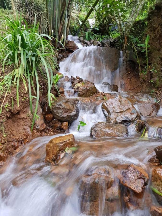 Finca Turistica Los Rosales Pereira Zewnętrze zdjęcie